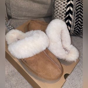 UGG Disquette Chestnut Slipper, Brand New ! Never worn!